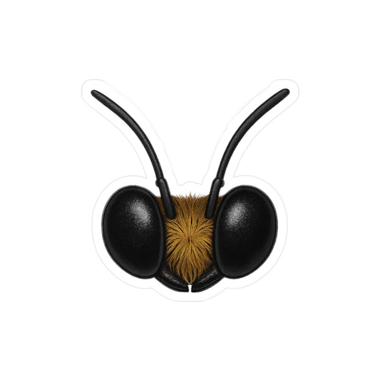 Bee Eyes vinyl decal, surreal insect eye fantasy sticker – Basic Raven Apparel