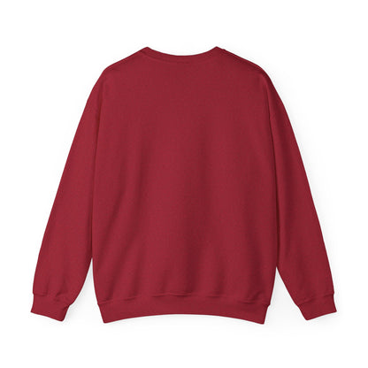 Socially Awkward Cat Lover's Sweatshirt