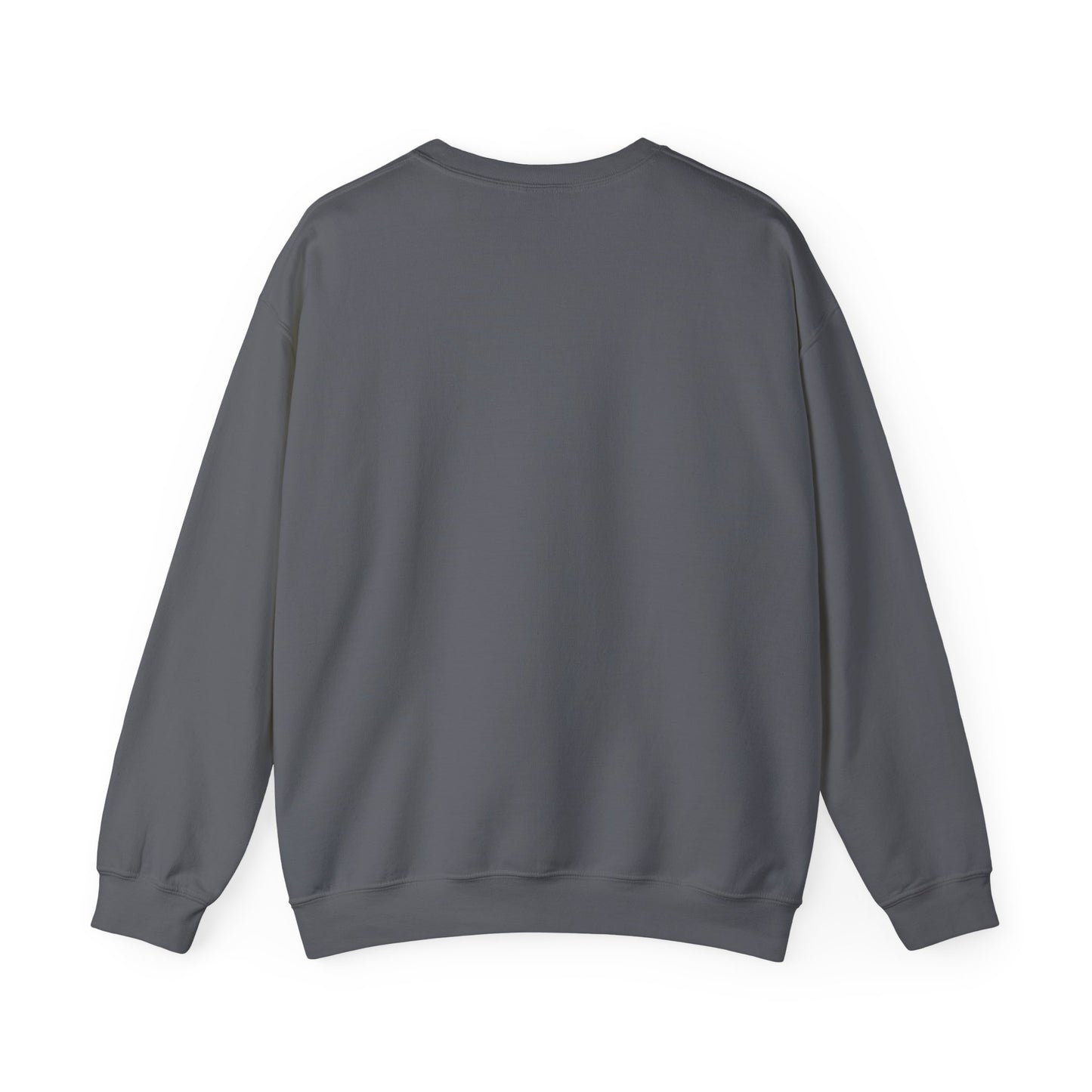 Socially Awkward Cat Lover's Sweatshirt